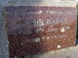 image of grave number 401986